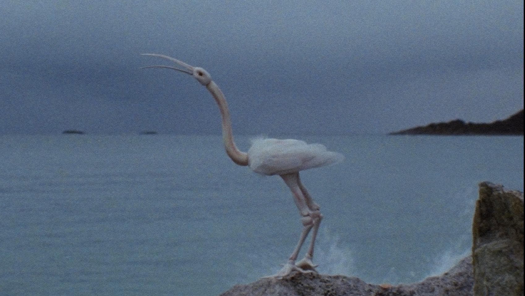 On Weary Wings Go By