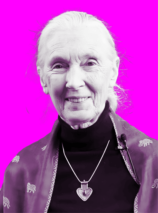 Jane Goodall