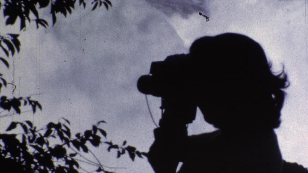 Shorts: Laws of Desire