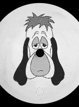 DJ Droopy